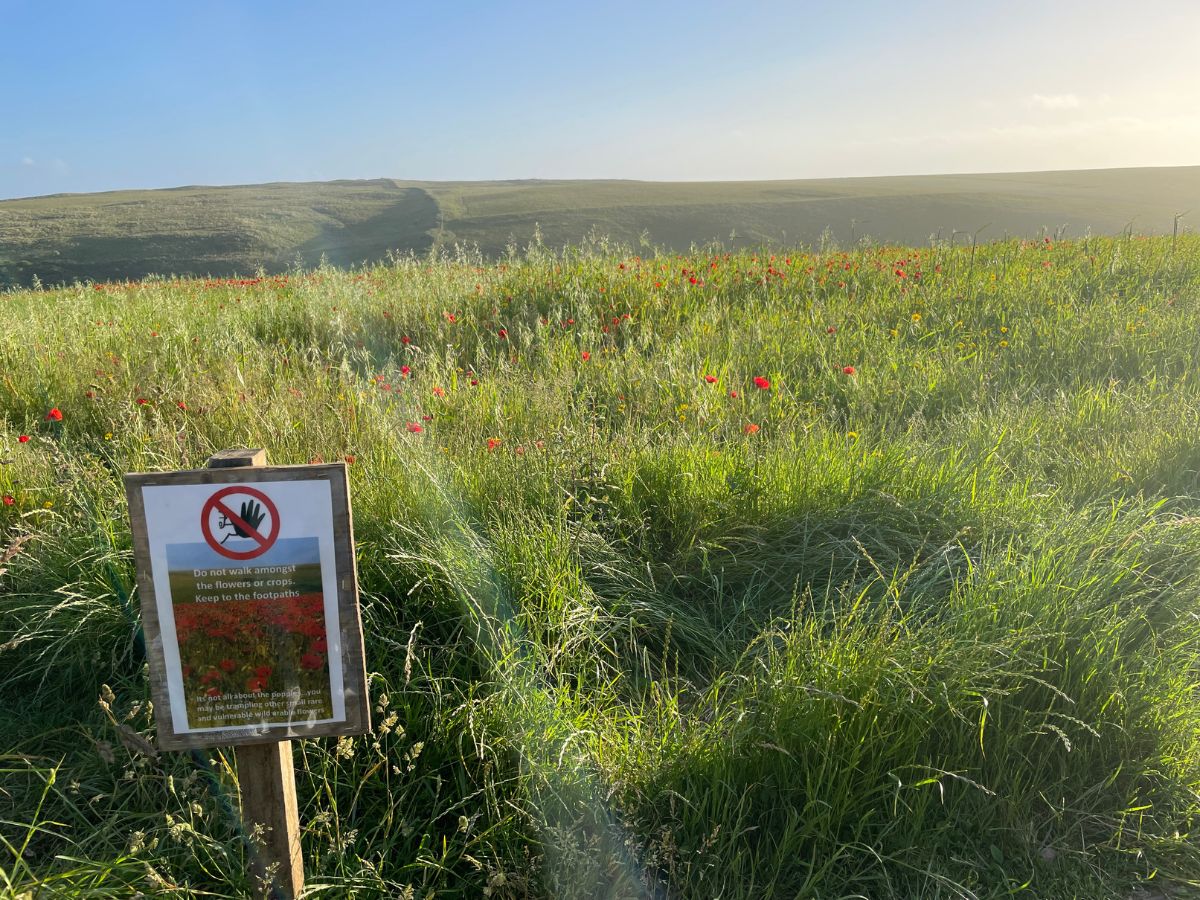 sign saying to stay off the poppy fields