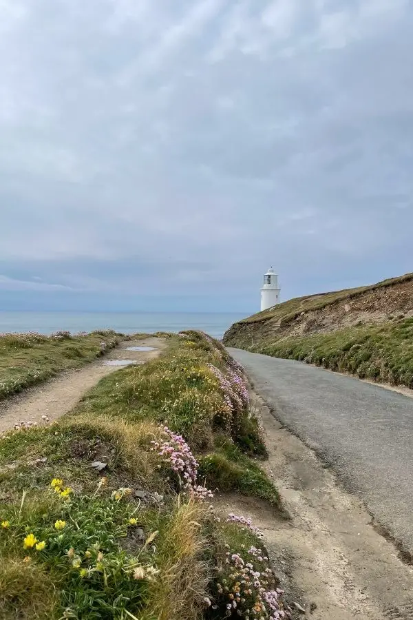 Trevose Head lighthouse and wildflowers