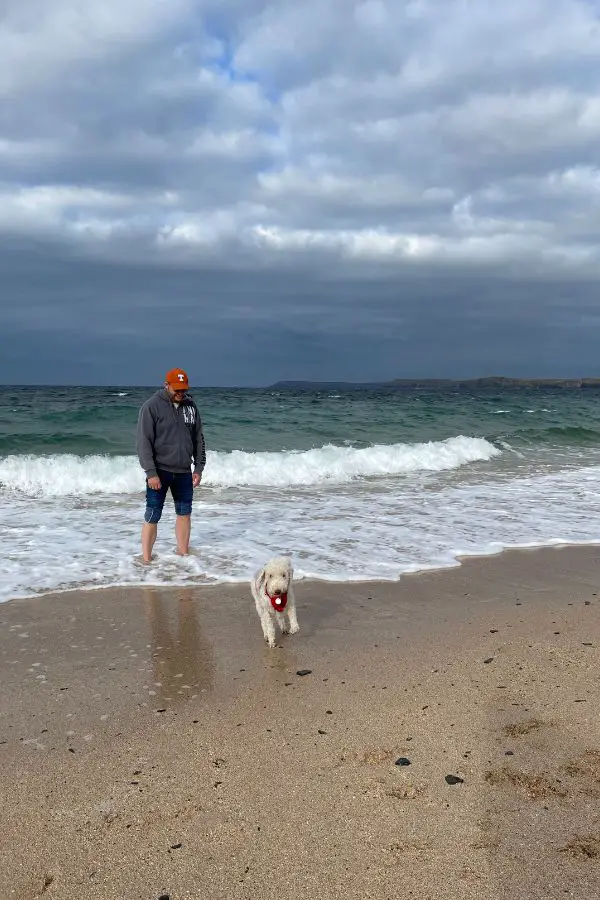 Dog at beach in Cornwall in September